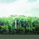Illustration for article titled Aerial canopies would let you explore the Amazon rainforest from above